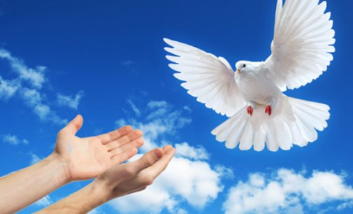 CCBT organiza Concurso de Artigos: Heróis da Paz