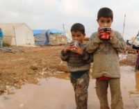 Imigrantes chegados pela Turquia podem ser repatriados