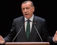 Erdogan diz que eleições antecipadas não são desejadas, mas também não impensáveis
