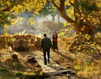 Turquia encerra a competição do Festival de Cannes sob salva calorosa de aplausos com The Wild Pear Tree