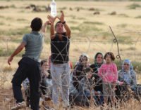 Sírios deslocados para fora de Istambul e para fora da Turquia. São mesmo regressos voluntários?