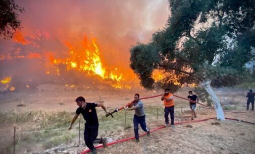 [Opinião] Controvérsias e críticas crescem conforme incêndios florestais devastam a Turquia