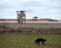 Detentos sujeitos a insultos, ameaças e agressões nas prisões turcas