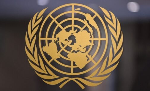 Grupo de Trabalho da ONU exorta o governo turco a acabar com os desaparecimentos forçados