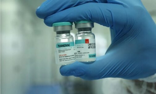 Turquia implanta sua própria vacina COVID-19 enquanto crescem as infecções