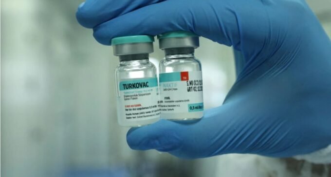 Turquia implanta sua própria vacina COVID-19 enquanto crescem as infecções