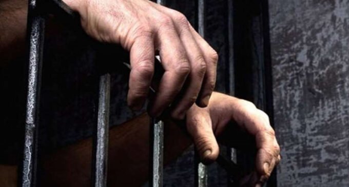 Comitê de tortura do CdE exige limitação do número de detentos e promoção de medidas não privativas de liberdade