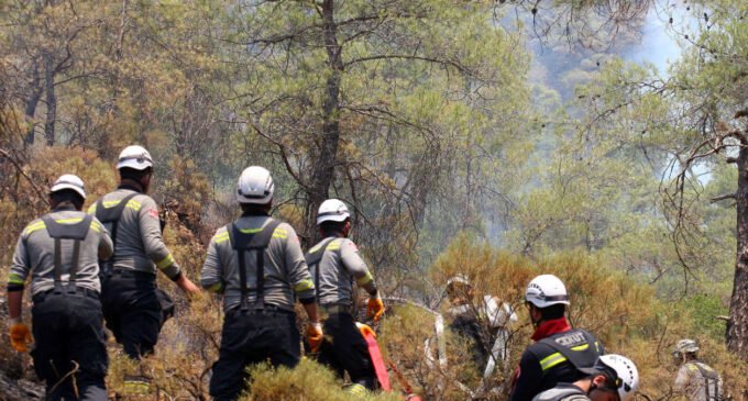 Incêndio florestal no sudoeste da Turquia entra no terceiro dia