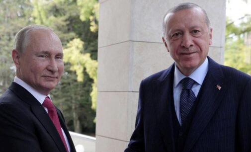 Putin pode se reunir com Erdoğan para discutir as conversações Rússia-Ocidente, diz Kremlin