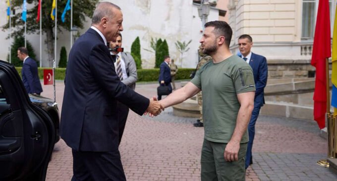 <strong>Erdogan da Turquia, Zelensky da Ucrânia discutem acordo dos grãos estendido</strong>