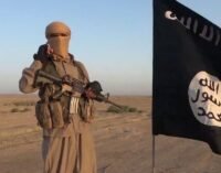 Turquia continua a esconder identidade de suspeitos do ISIS capturados procurados pela INTERPOL