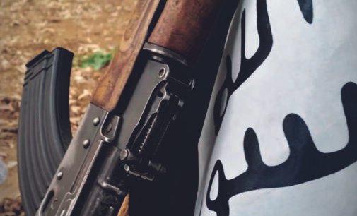 Tribunal superior da Turquia sentencia o endosso e promoção do ISIS, tenta aderir à batalha jihadista e não ao terrorismo