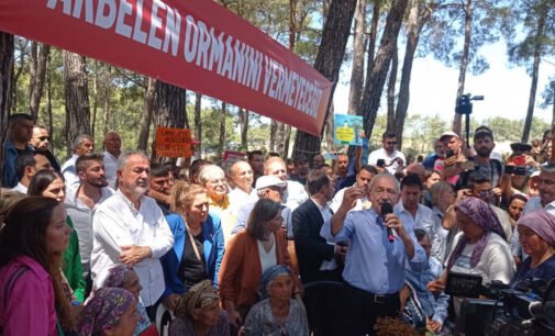 Oposição apoia resistência contínua para preservar a Floresta de Akbelen na Turquia