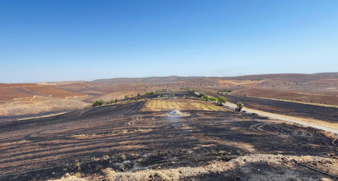 Número de mortos em incêndio florestal na Turquia chega a 15, enquanto especialistas apontam falha em cabos elétricos